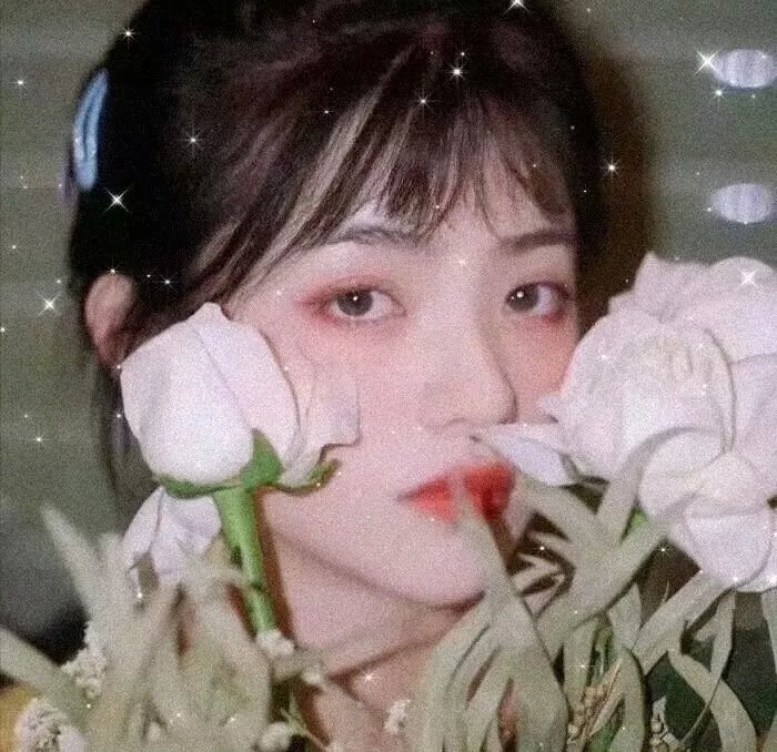 满城尽奏吉卜赛